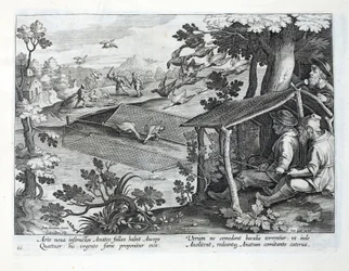 Eine neue Methode zur Entenjagd, Illustration aus 